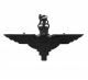 Parachute Regiment Cap Badge Black