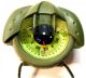 Firefly Navigator Compass